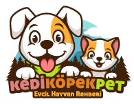 Kedi Köpek Pet - Evcil Hayvan Rehberi